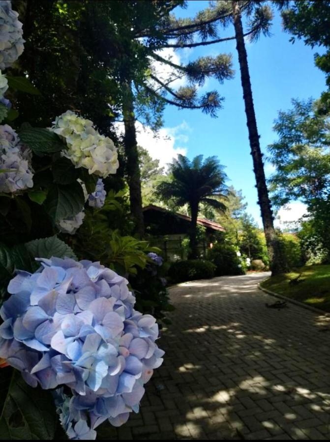 Villa Casa Goldoni Gramado Esterno foto